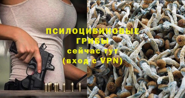 стафф Пролетарск