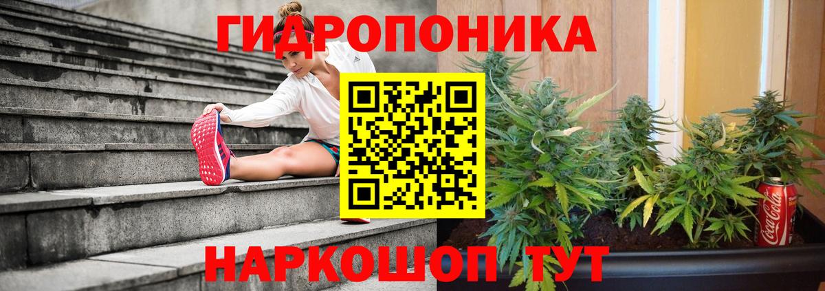 Марихуана OG Kush  Вход с VPN  Елец  Марихуана марихуана 